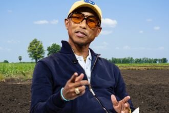 pharrell williams vermögen