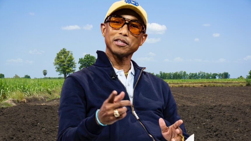 pharrell williams vermögen