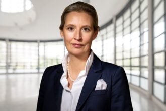 alice weidel vermögen
