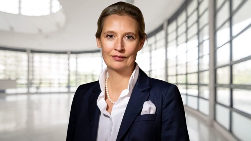 alice weidel vermögen