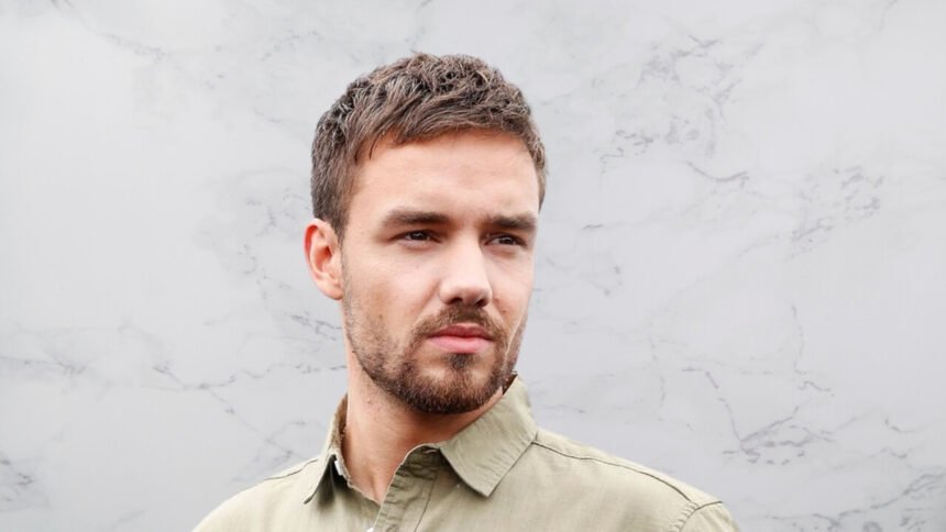 Liam Payne Vermögen