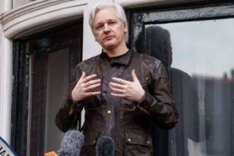Julian Assange Vermögen