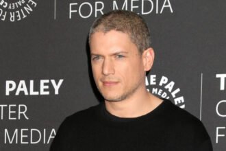 Wentworth Miller Vermögen